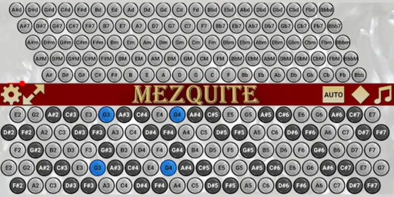 Mezquite Chromatic Accordion android App screenshot 3